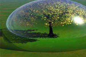 Environmental Management