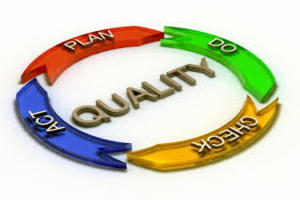Develop of Manual, Policy & Procedures of quality