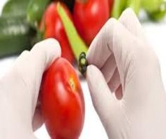 Food Safety System Certification