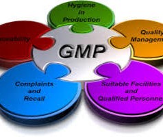 Good Manufacturing Practices (GMP)